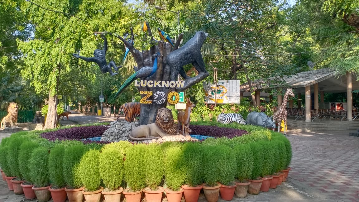 THE LUCKNOW ZOO HAS PUT MORE THAN 1000 ANIMALS UP FOR ADOPTION – Now Lucknow