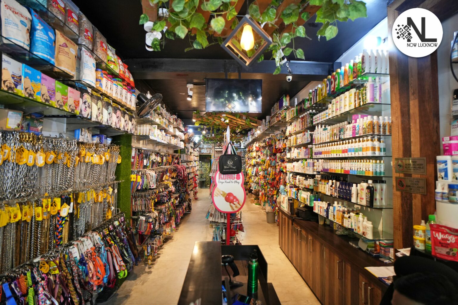 DOGS & PUPS THE LARGEST PET STORE IN ALL OF LUCKNOW! Now Lucknow
